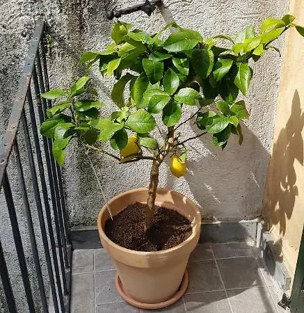 Antico Loft Appartamento *