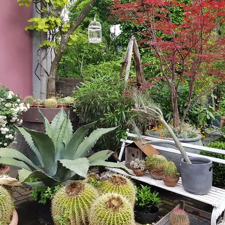 Antico Loft 公寓 科莫